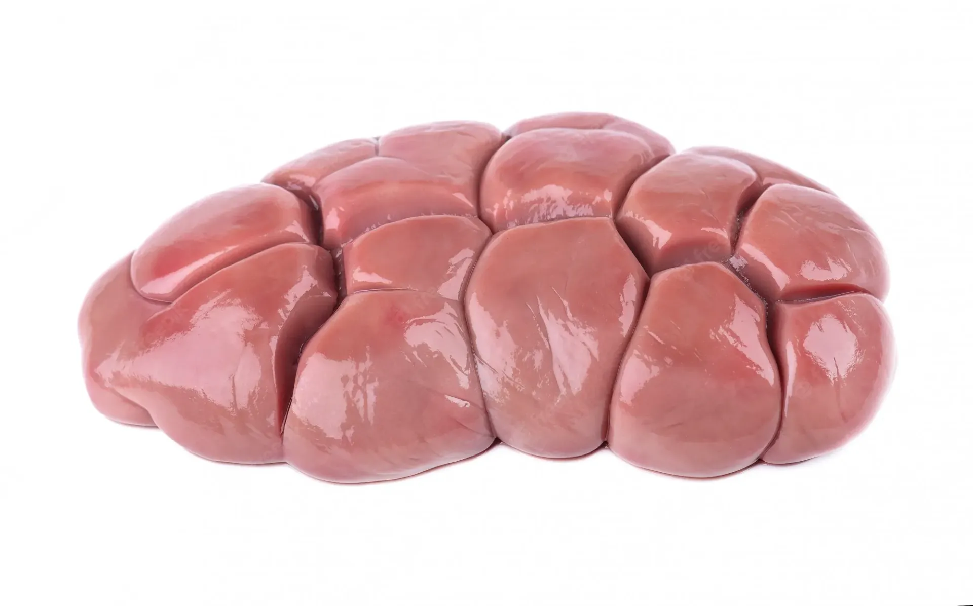 Kidneys